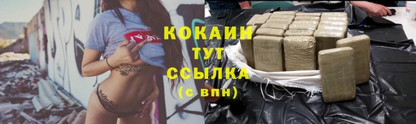 МДПВ Михайлов