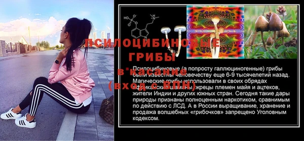 spice Арсеньев